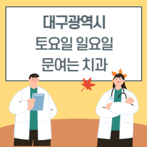대구 토요일 일요일 치과 진료 병원 리스트