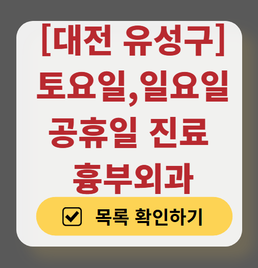 대전 유성구 주말 토요일 일요일 흉부외과 진료 병원 목록 ❘ 공휴일 진료 영업 병원 리스트 찾기