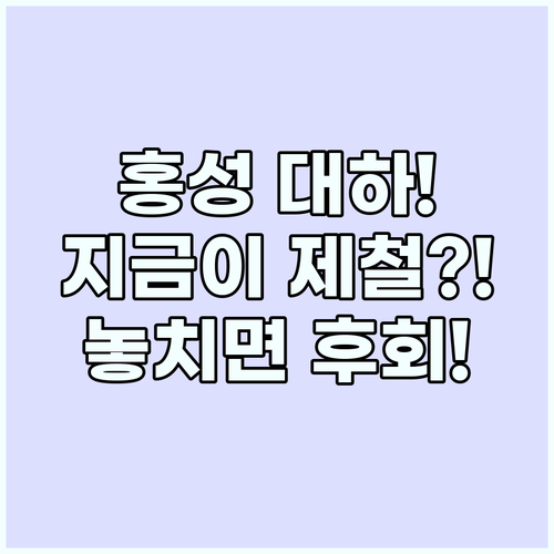 가을 여행 추천, 홍성 남당항 대하축..