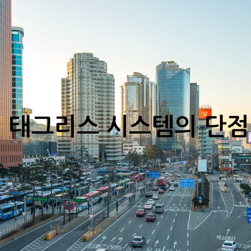 서울시 버스 태그리스 결제 도입! 설정 방법부터 장단점