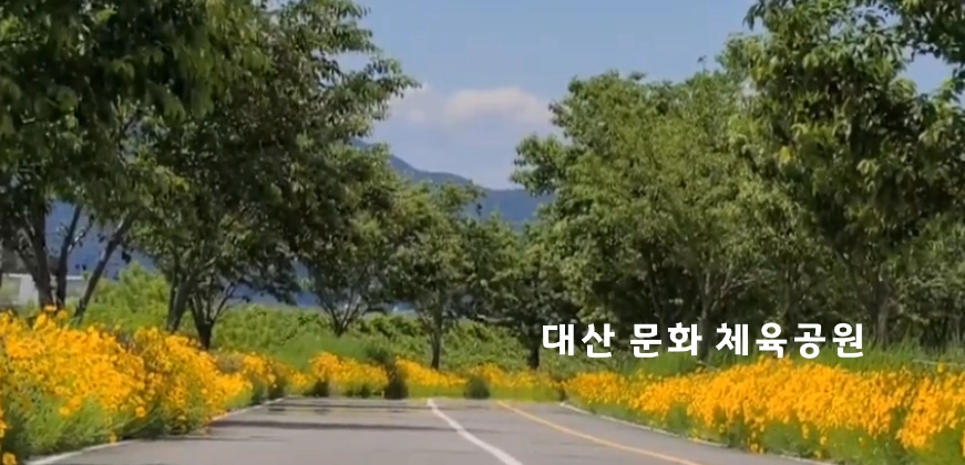 이상한 변호사 우영우 촬영지 