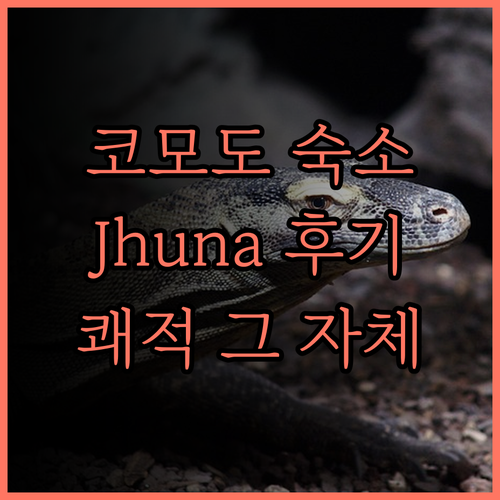 Jhuna Komodo Homesta