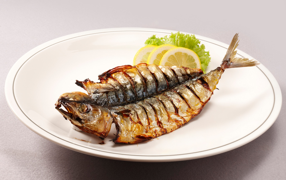 단백질 많은 음식 11가지