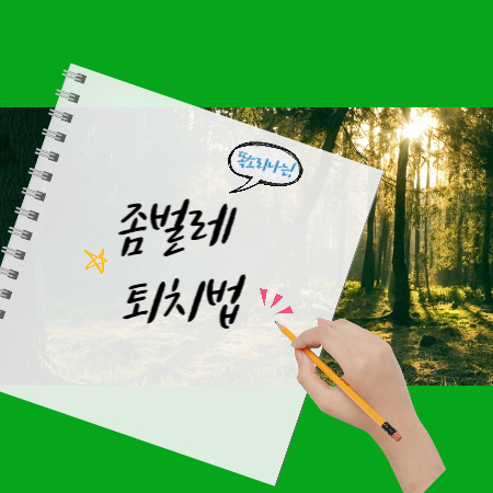 좀벌레 퇴치법