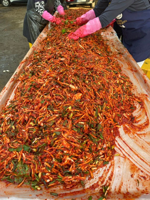 김장 속 재료