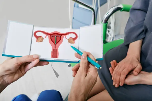 생리후 부정출혈 원인은 무엇일까요? 여성의 건강을 생각할 때 가장 기본적인 것 중 하나가 바로 '생리'입니다. 생리는 우리 몸이 정상적으로 기능하고 있다는 신호이며, 가임 기간 동안 여성의 건강 상태를 반영해 주죠. 그러면 왜 부정출혈이 생기는지 알아볼까요~