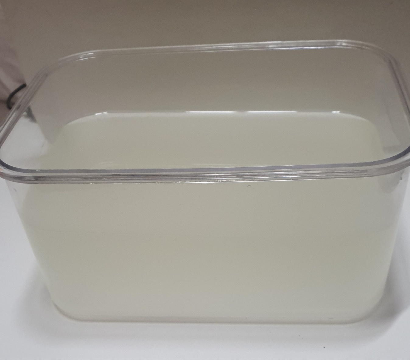 1리터로 만든 요거트에서 나온 유청900ml