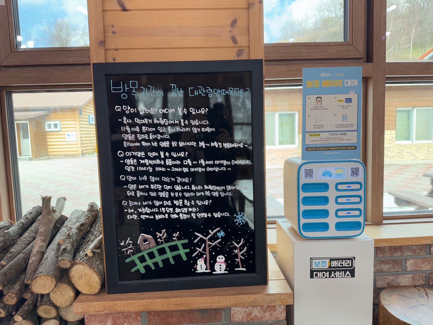 대관령 양떼목장