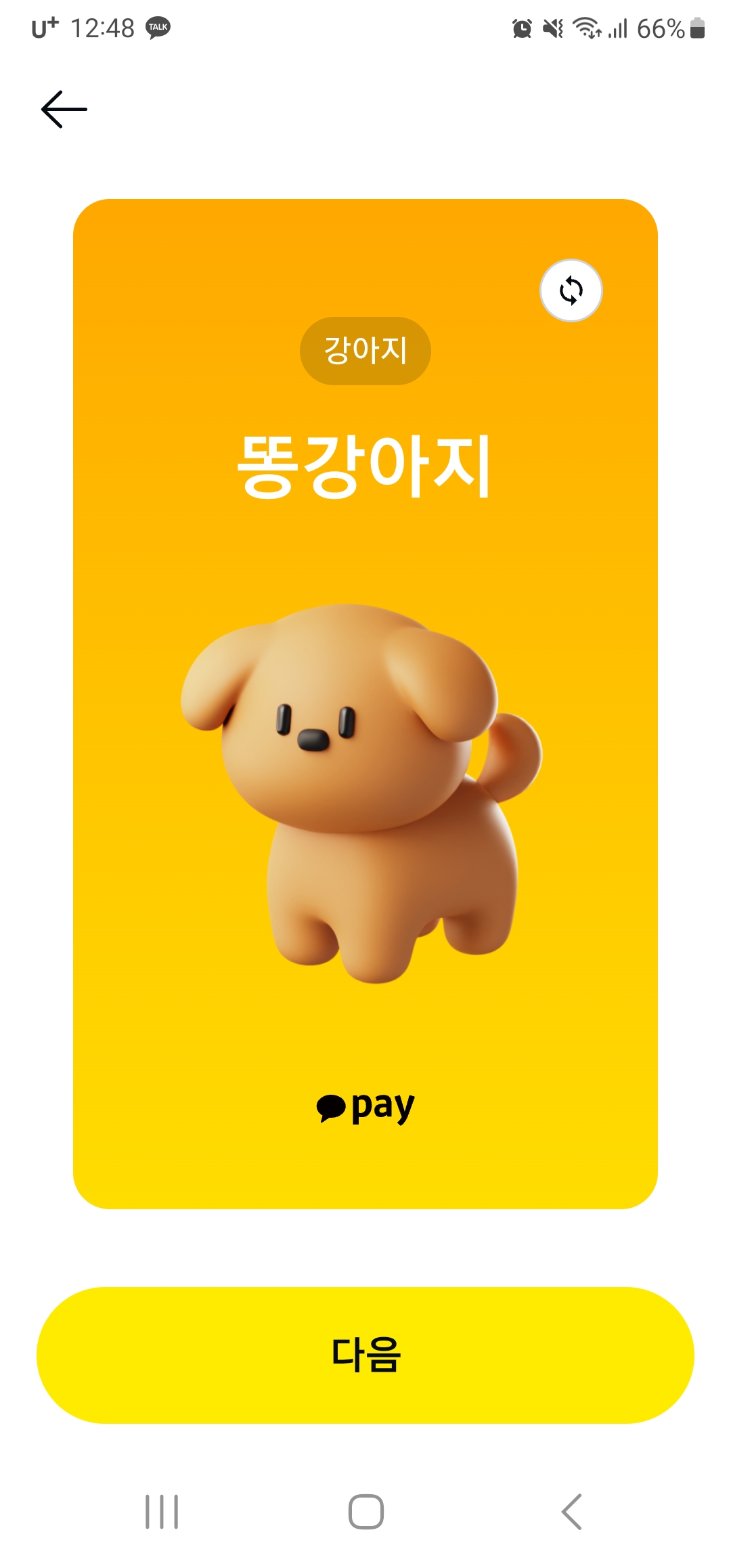 펫보험 비교