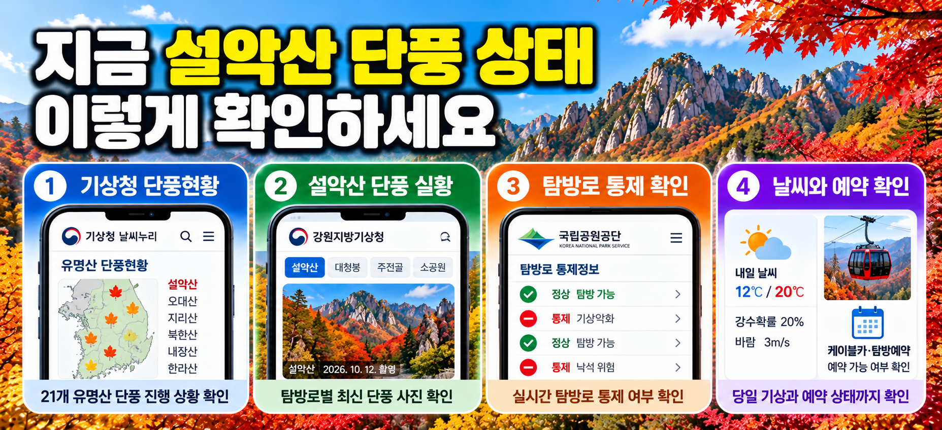 설악산 현재 단풍 상태 확인