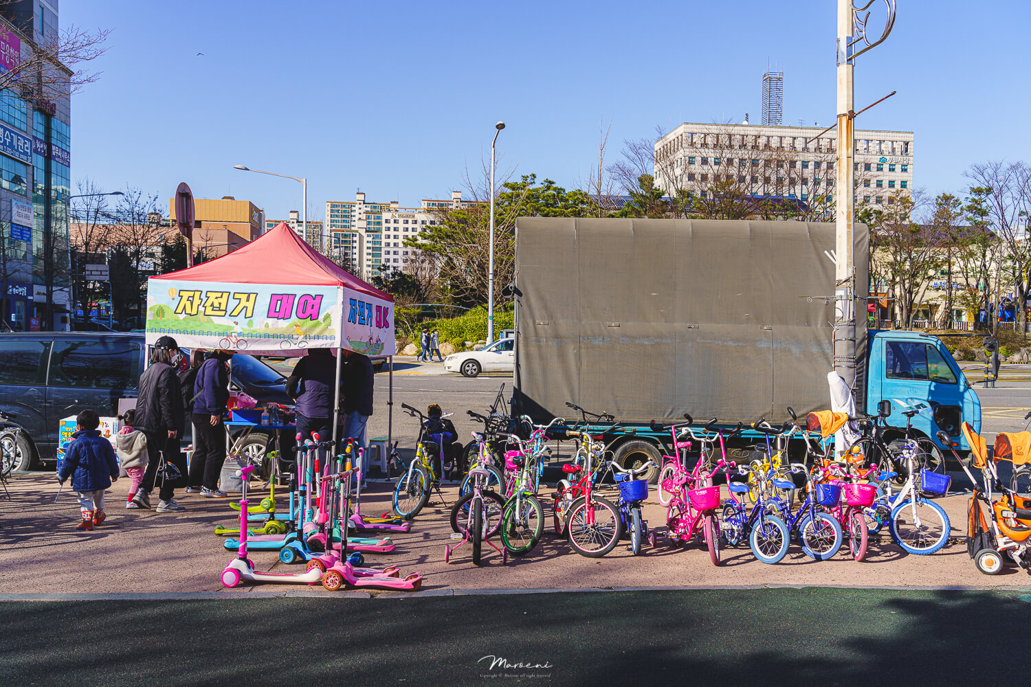 중앙공원 애견운동장