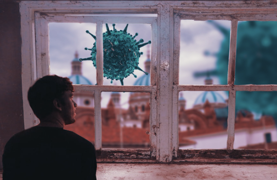 백혈구 수치가 낮은 이유 16