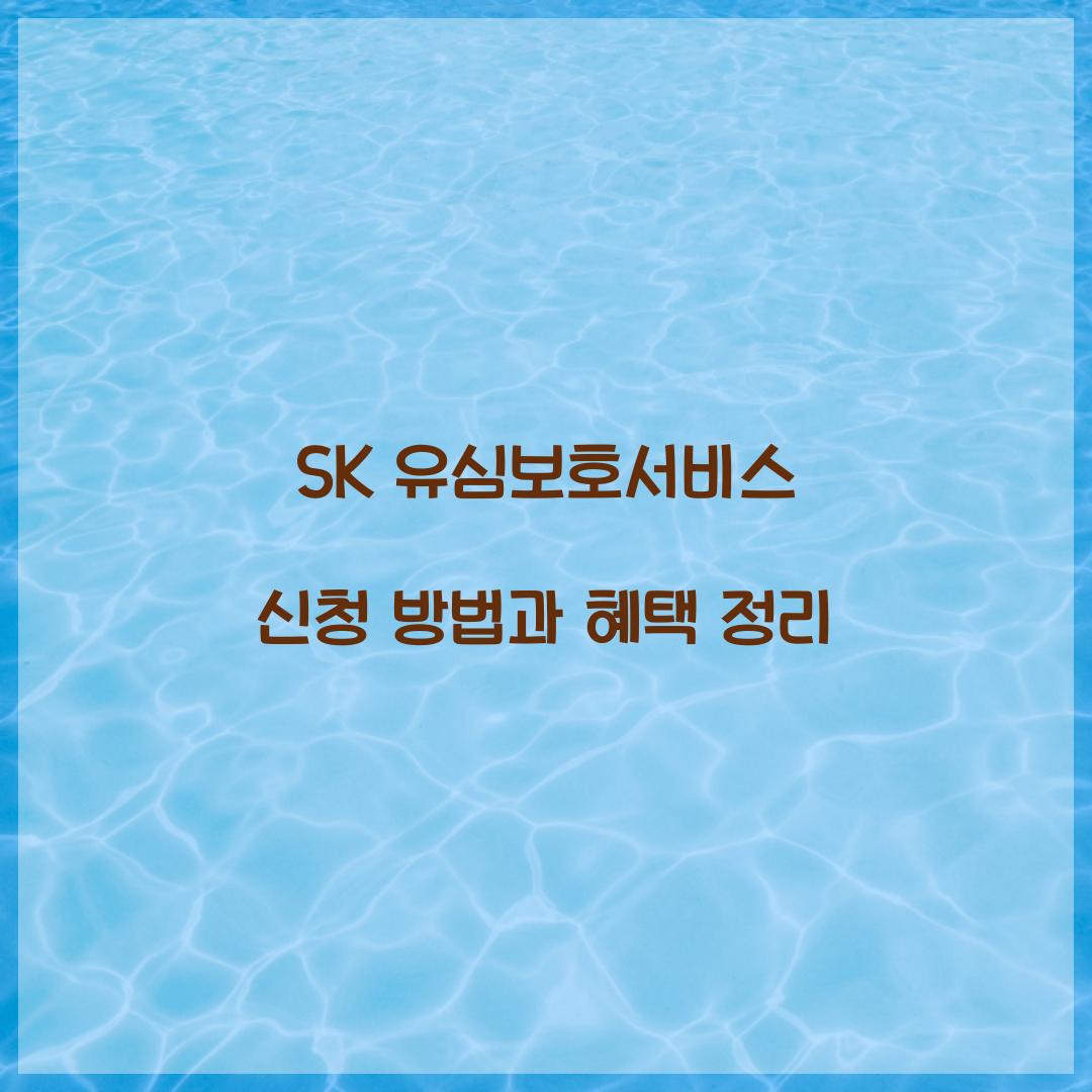 SK 유심보호서비스 신청