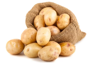 강아지와 감자/출처:어도비스톡