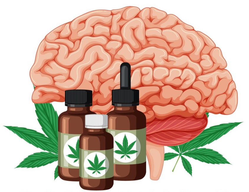 아로마테라피의 과학 : 에센셜 오일이 뇌와 상호작용하는 방식