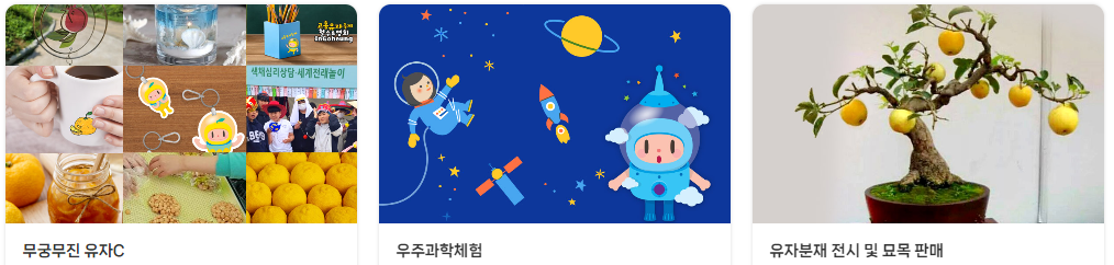 고흥 유자축제
