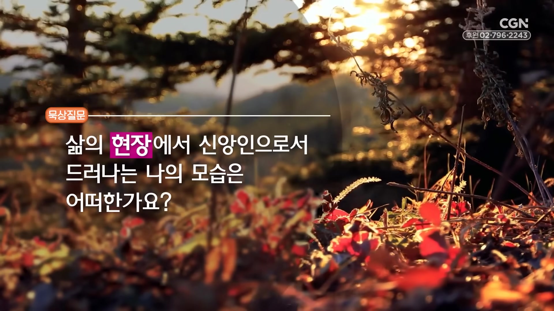 삶의 현장에서 신앙인으로서 드러나는 나의 모습은 어떠한가요?