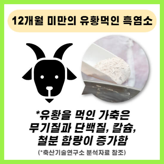 흑염소 진액