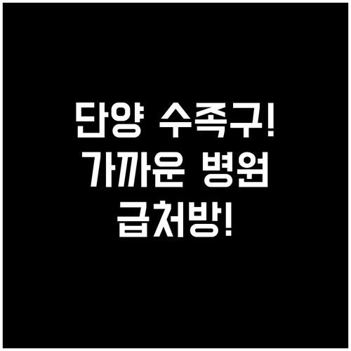 단양군 수족구 의심 시 가까운 병원 ..
