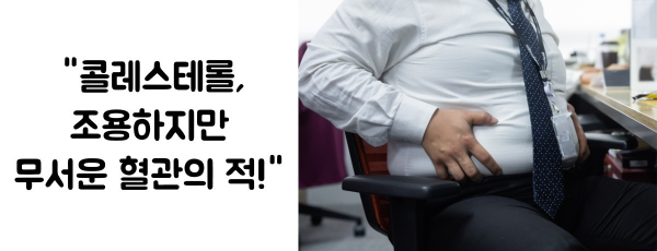 콜레스테롤 정상수치