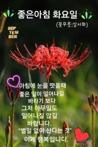 화요일 아침 인사말 좋은 글 9월 가을 이미지들_5