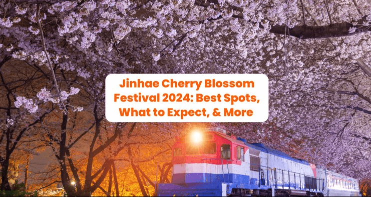 2025년 진해 군항제 벚꽃축제 관련사진