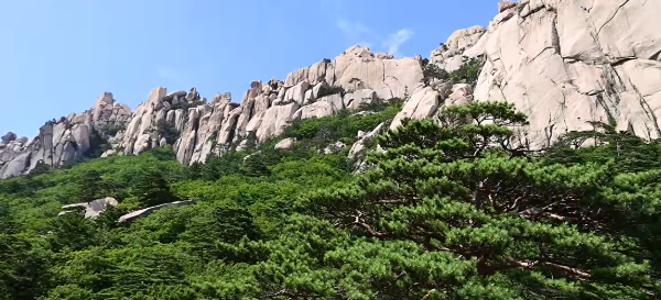 봄에 떠나기 좋은 국내 여행