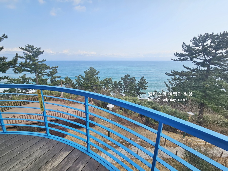 왕피천 케이블카 예약 가격 환급방법 탑승 후기 산책길 가볼만한곳