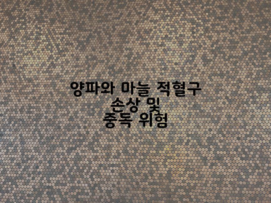 양파와 마늘 적혈구 손상 및 중독 위험