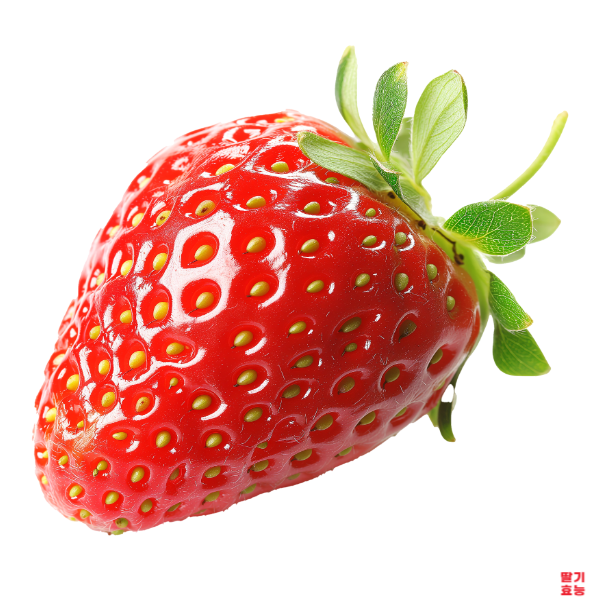 딸기의 놀라운 효능 : 딸기 효능 알고 드세요!