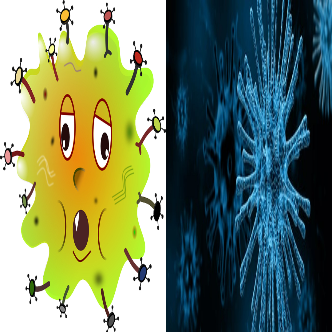 유산균의 긍정적 효과