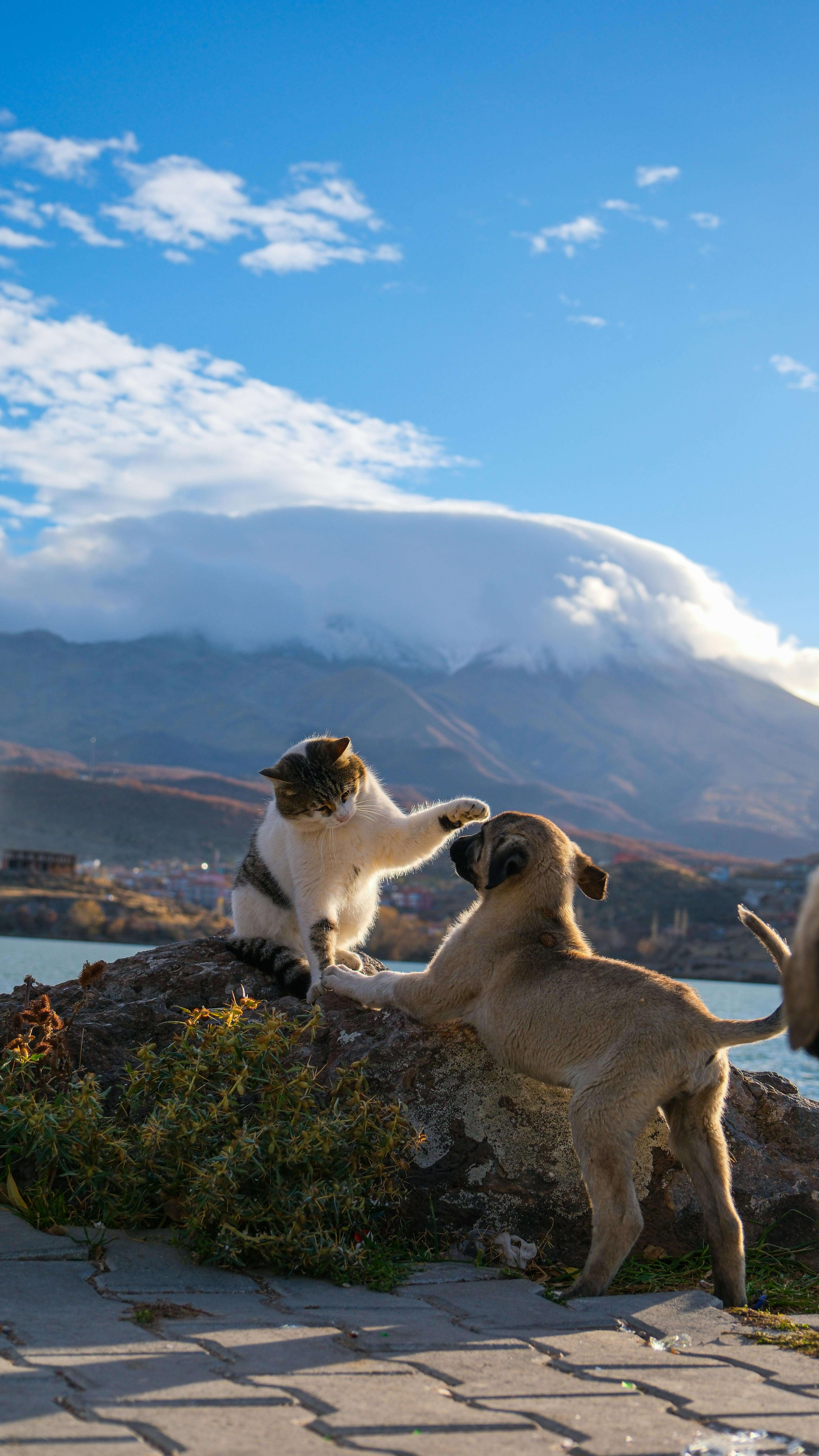 질병별 치료비 절약 노하우 6가지 (실전 가이드)