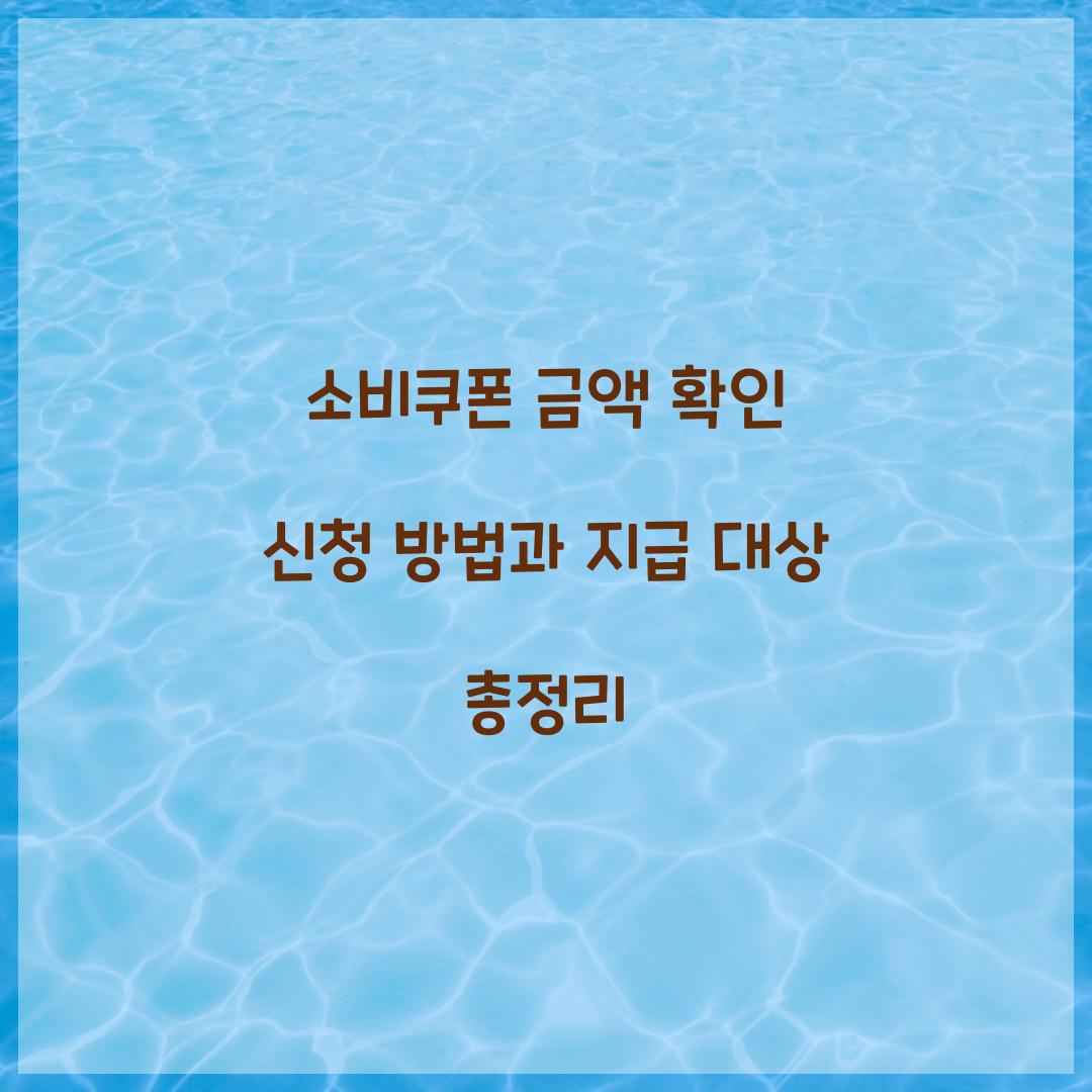 소비쿠폰 금액