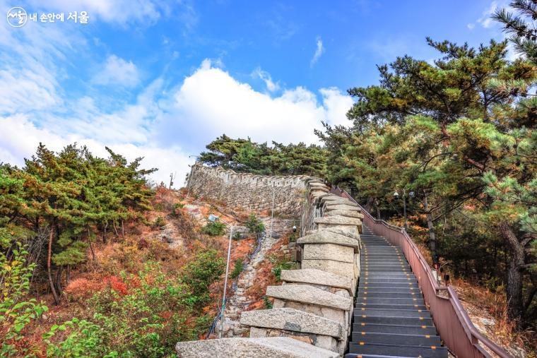북악산 자연을 느끼며 내려올 수 있어서 더욱 좋은 하산 길이었다.