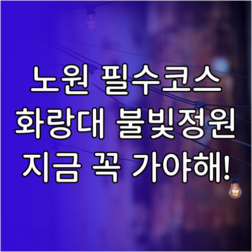 1월 서울 노원구 나들이 명소 화랑대..