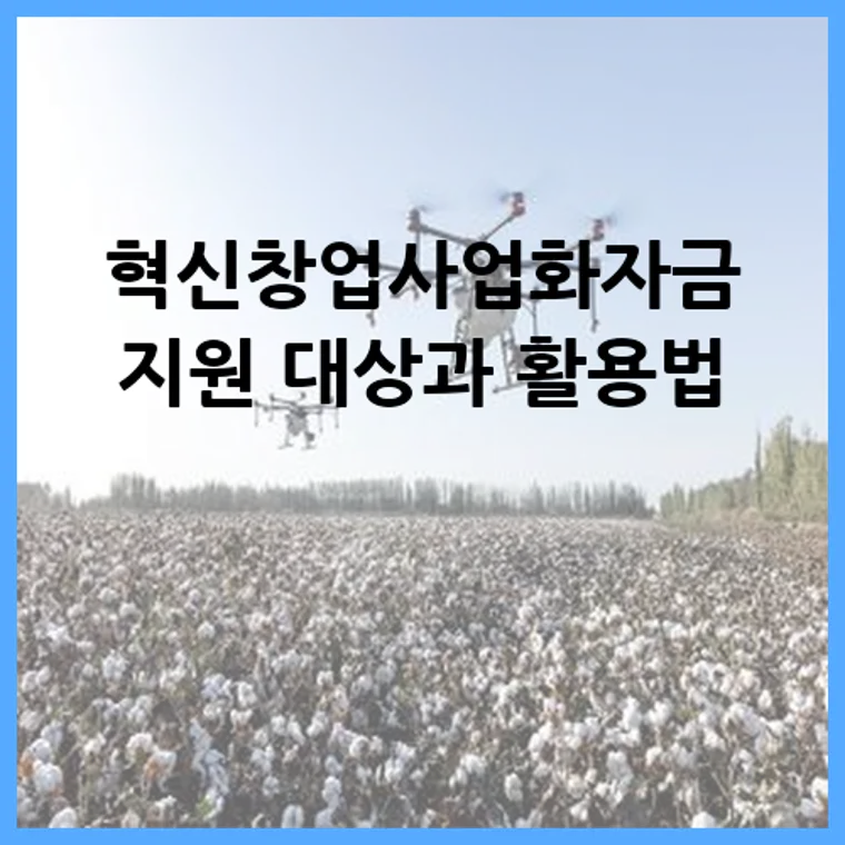 혁신창업사업화자금 지원 대상과 활용법