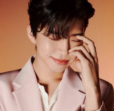 임영웅콘서트 온라인