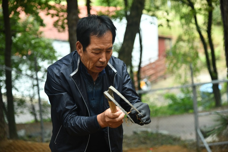 2025 함양산삼축제 리뷰 &ndash; 천년의 산삼을 체험할 최고의 가을 여행!
