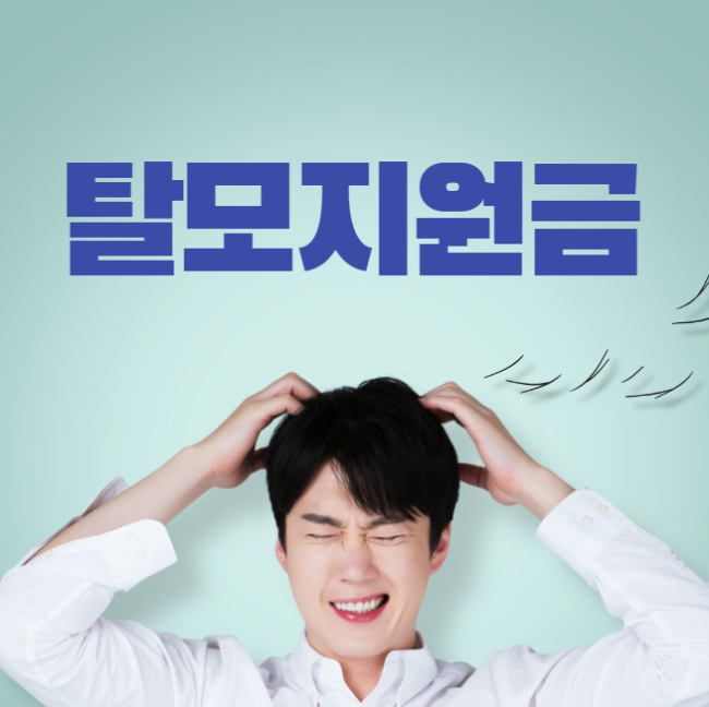 미리캔버스 탈모지원금 이미지입니다.