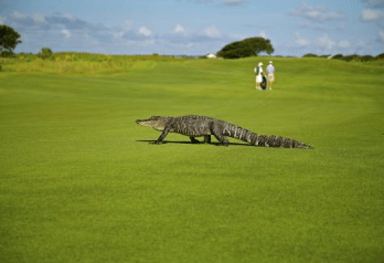 비행기표 싸게 예약하기