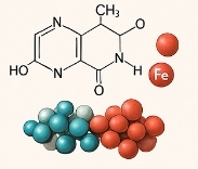 빈혈에 좋은 영양제