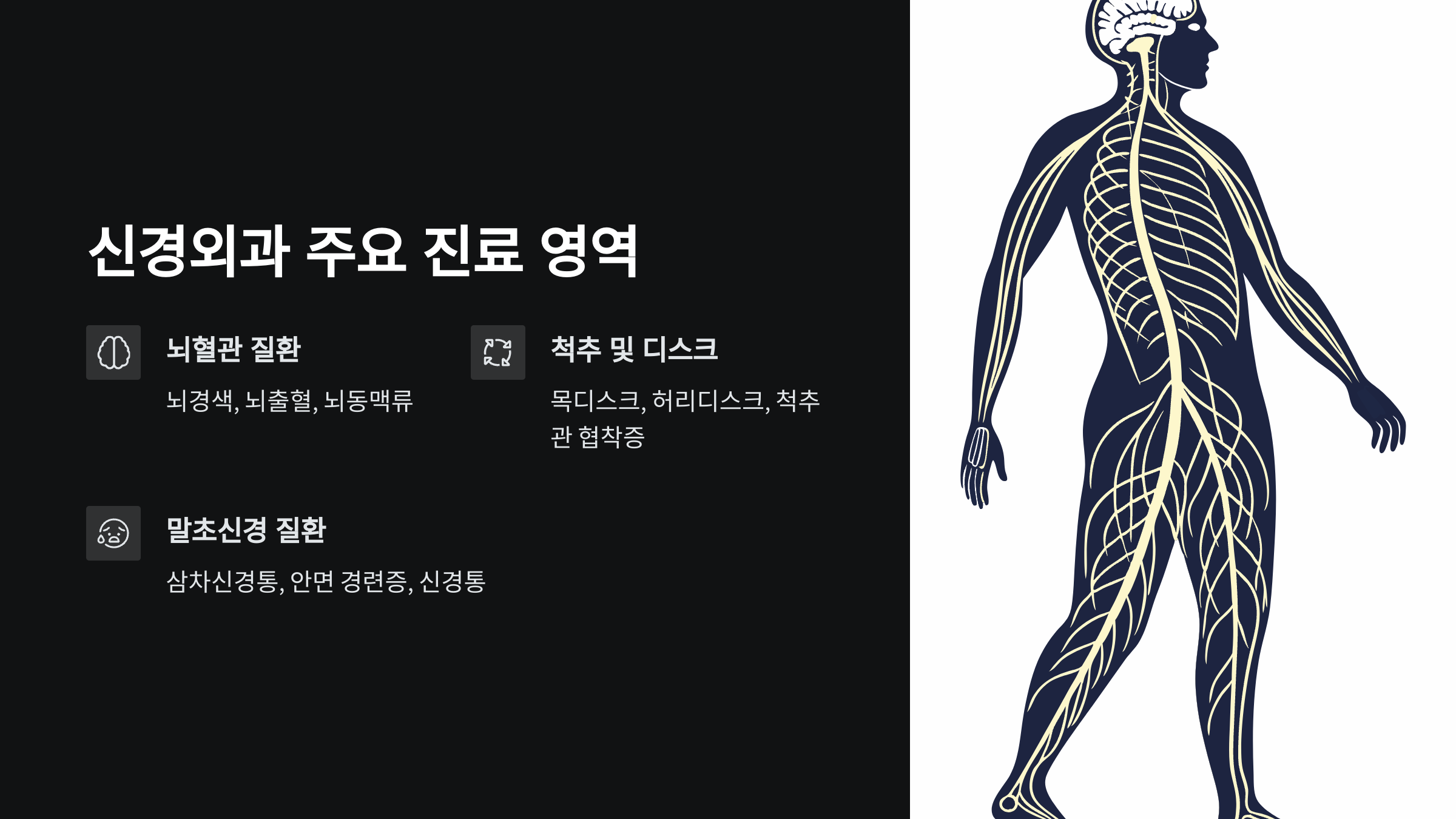 신경외과-진료영역