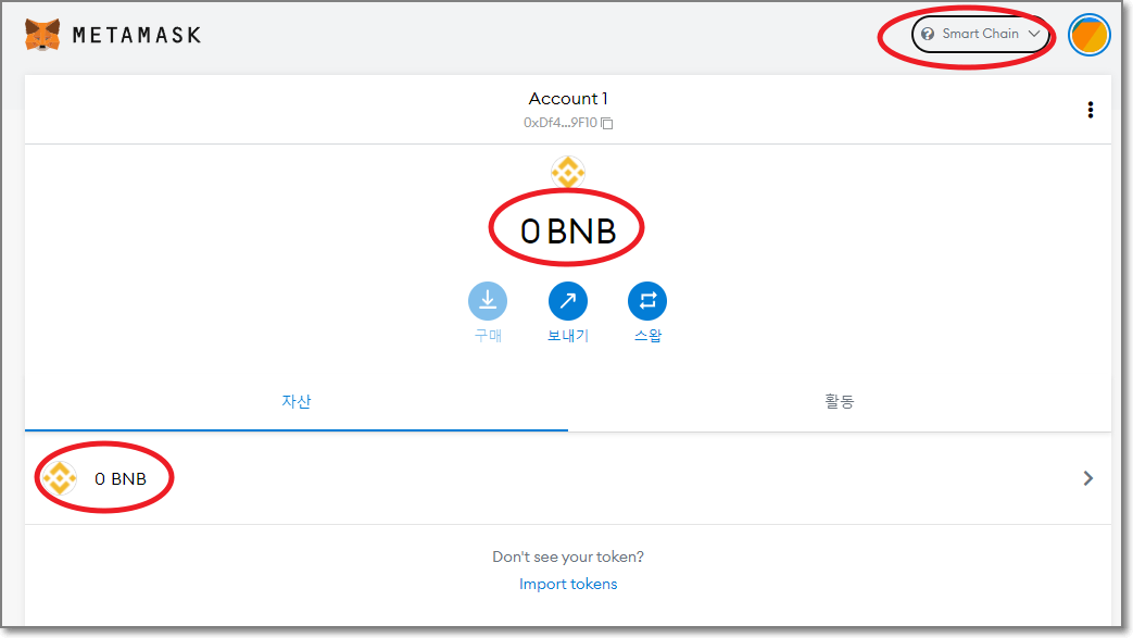 메타마스크-BSC-연결확인