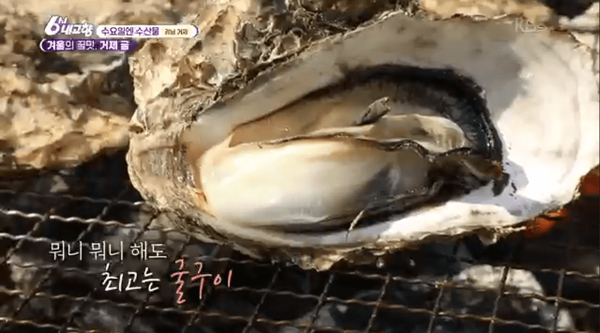 경남 거제 굴 양식장 &lsquo;공주수산(구. 영성수산)&rsquo; 택배 연락처 위치 정보