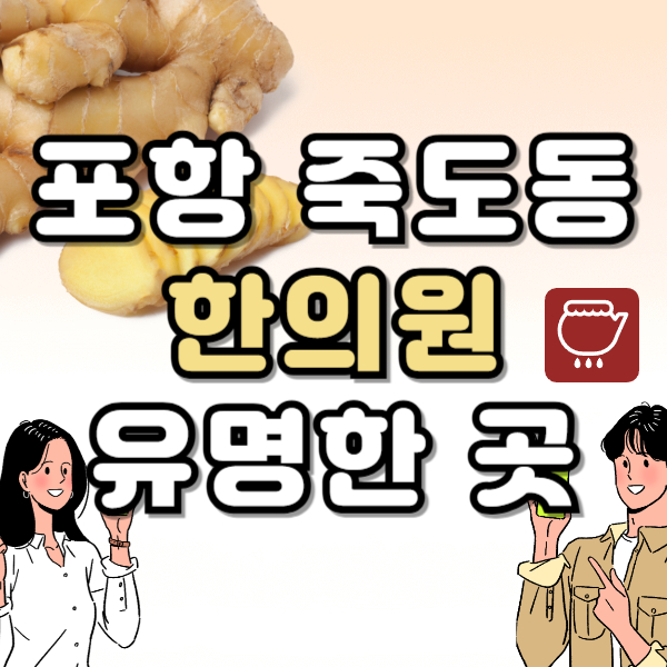 포항 북구 죽도동 한의원 추천 TOP5 양심 한의원 유명한 곳