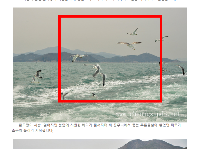청산도 배시간표 예약 사이트