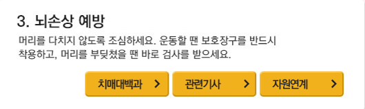 뇌손상예방