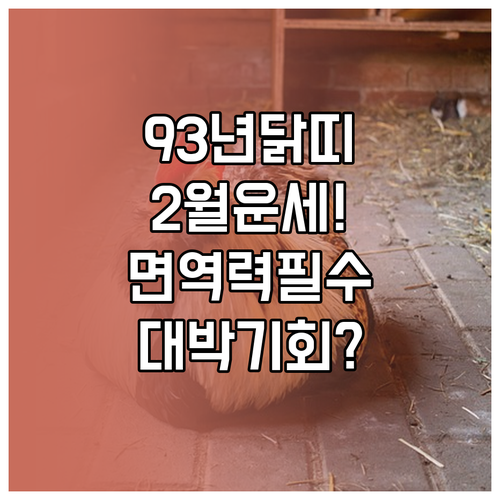 1993년생 닭띠 2월 운세 질문 답..
