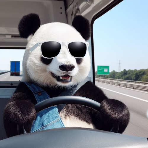 운전자 다이렉트 보험