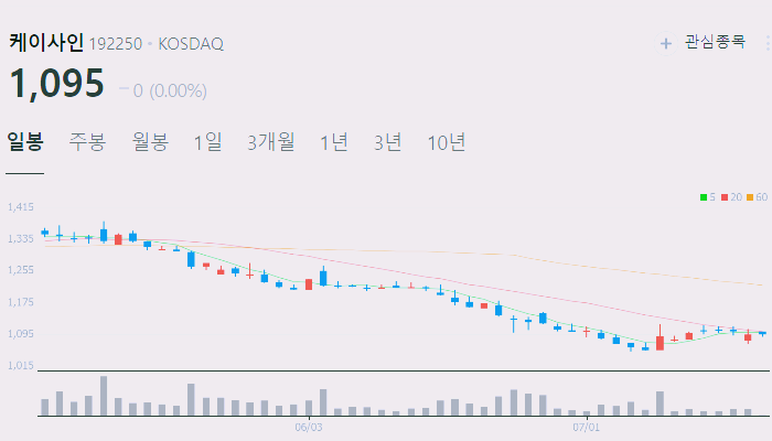 사이버 보안 관련주 대장주 수혜주 테마주 TOP5